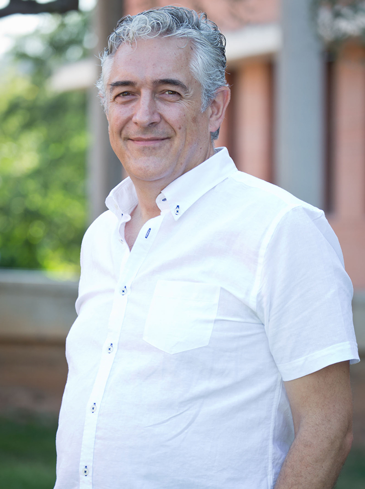 Respuesta territorial al virus: lo local como estrategia